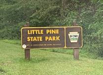 Little Pine State Park presents “Terrific Tree Species”