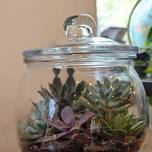 Terrarium Workshop by Steph's Sprouts