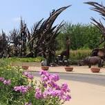 Saint Louis Zoo - HullabaZoo: Grevy's Zebra - Center for Conservation in the Horn of Africa — Forest Park Forever