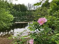 Geology of Tradition and Round Lakes on Tiger Mountain