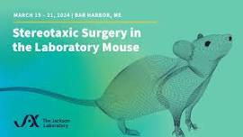 Workshop on Stereotaxic Surgery in the Laboratory Mouse