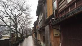 Omicho Market and Higashichaya Food Tour in Kanazawa