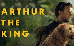 Arthur the King (PG-13) 2024