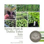 spring plant & dahlia tuber sale  — Ultreia Farm and Wellness