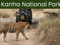 Wildlife Safari @ Kanha National Park (Best Eco Tourism Destination)