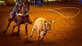 National High School Finals Rodeo