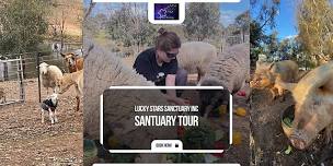 Animal Sanctuary Tour