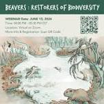 Tomaquag Museum  Beavers: Restorers of Biodiversity