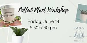 Potted Plant Workshop