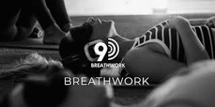 9D Breathwork Healing Ancestral Lines $33.33 ( Reg.$50) - Level 1 required