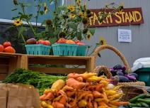 Weekly Farm Stand at Growing Gardens