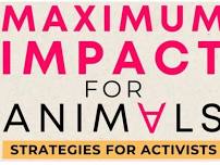 Maximum Impact for Animals: Strategies for Activists