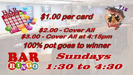 Bar Bingo Sunday