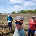 Weekend Stewardship Volunteer Day