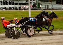 Live Harness Racing