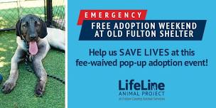 Free Adoption Weekend at Old Fulton Shelter