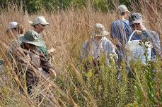 Volunteer Morning: Kankakee Sands Preserve