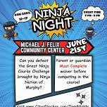 Ninja Night