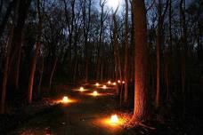 Luminary Night Hike – Fireside Chat at Camp WaNoKi