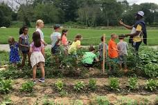 Summer on the Farm at the Yellow Farmhouse: Ages 5-10