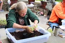 Seedling Potting Workday with Hudson Highlands Land Trust