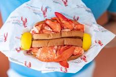 Cousins Maine Lobster at Burlington-Evening Sky Brewing Company