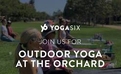 Park Yoga