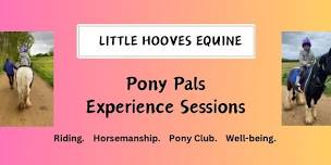 Pony Pals Experience Session