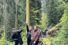 Borjomi National Park Hike: 13 km Group Tour from Kutaisi, Georgia