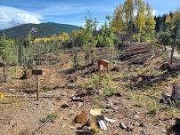 Blue Camp Trail and Bear Lake Trail Cleanup