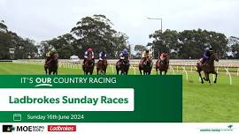 Sunday Races at Moe Racing Club