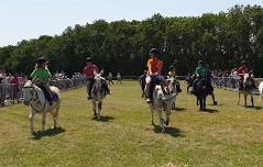 Westbury Donkey Derby