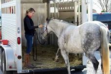 Trailer Loading Clinic