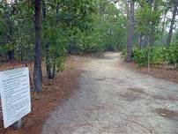 Dog Walk Club: Forest Creek Greenway 6/16