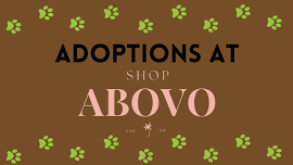 Adoptions at Abovo