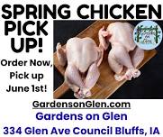 Spring Chicken Meat Pick-Up Event!