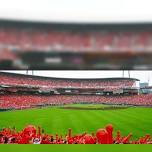 Hiroshima Toyo Carp vs Yomiuri Giants