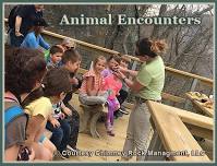 Summer Animal Encounters