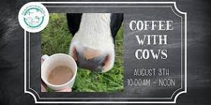 Coffee With Cows