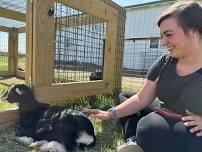 May 10th Free Baby Goat Cuddling Last Friday of the year