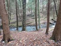 Hike with ADK at SUNY College Camp