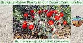 Growing Native Plants in our Desert Communities (Orderville)