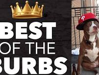 Best of The Burbs (Round 1) - Funniest Person of the Philly Suburbs