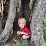 Nature Navigators (Ages 4-6) FULL — Prairie Loft Center for Outdoor & Agricultural Learning