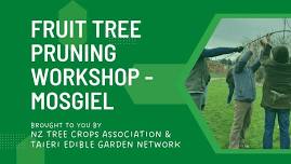 Fruit Tree Pruning Workshop - Mosgiel