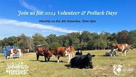 Group Volunteer & Potluck Day