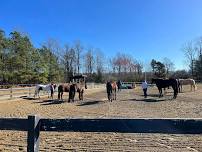 Horsemanship Day Camp (trailer ins welcome)