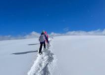 ACES Naturalist-Guided Snowshoe Tour on Aspen Mountain