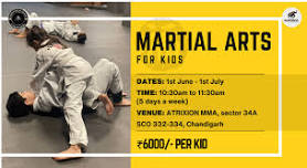 Martial Arts Summer Kids Workshop