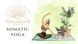 somatic yoga